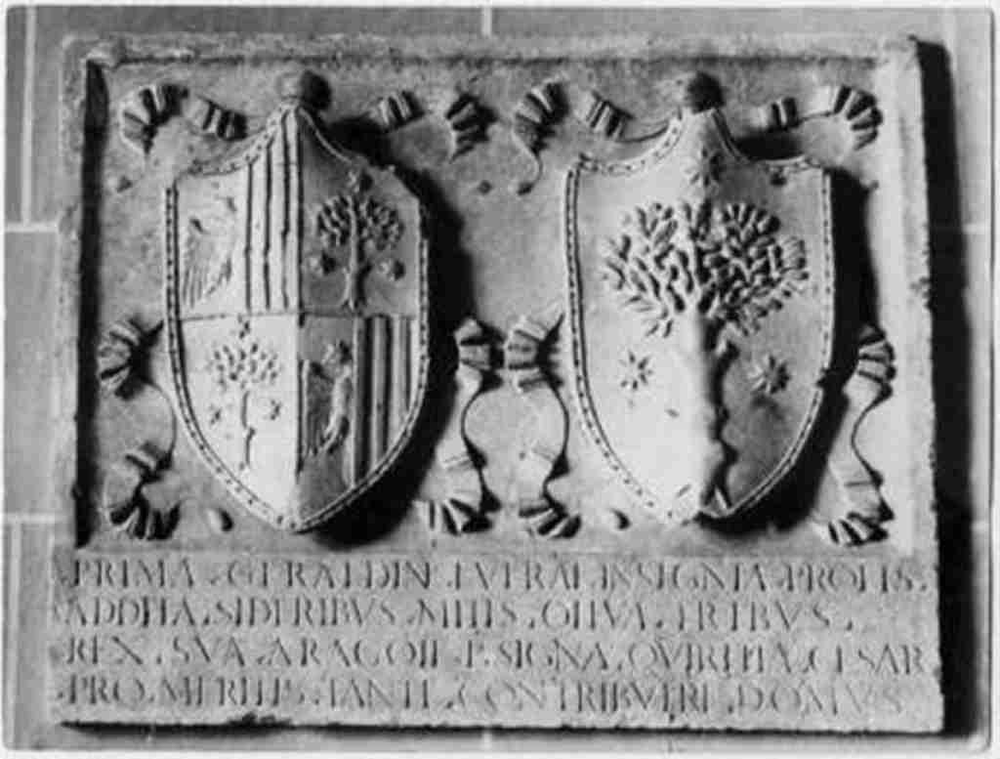 Stemma di Alessandro Geraldini.