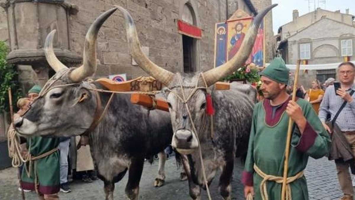Trittico trainato dai buoi