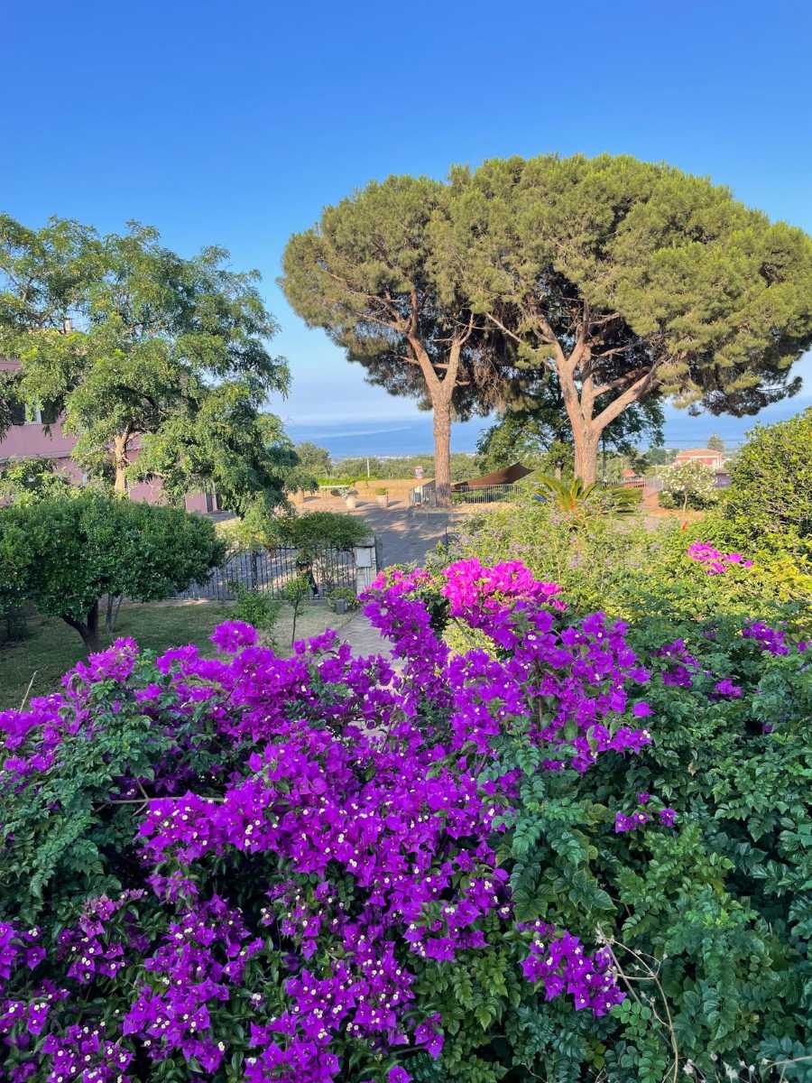 Paesaggio