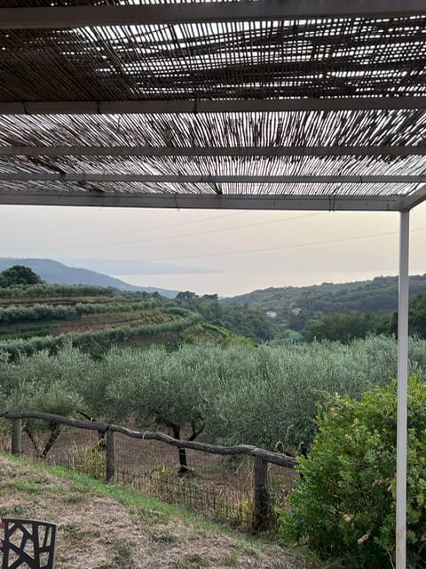 Tenuta Benvenuto