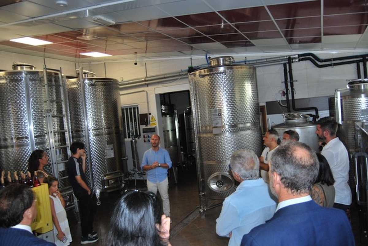 Visita in cantina